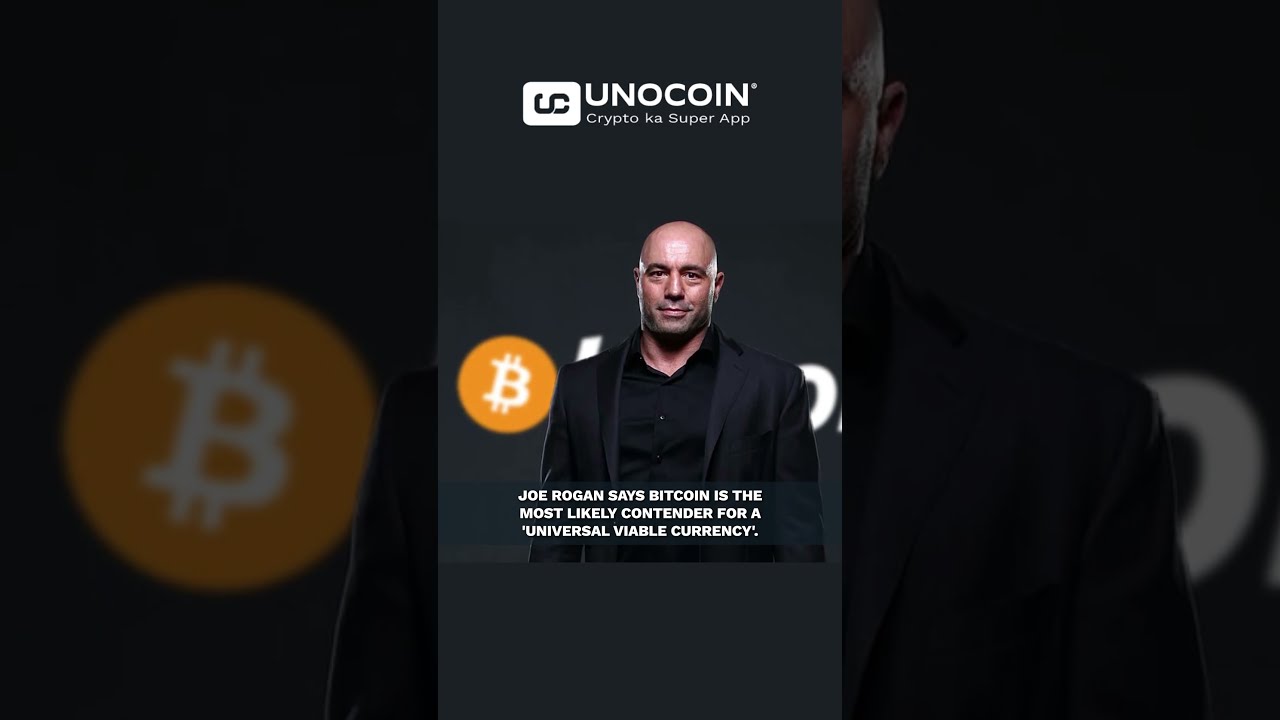 Twitter CEO to Joe Rogan: I Think Currency of The Internet Will Be Bitcoin | coinlog.fun