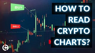 Crypto Trading Indicators for Beginners That Professionals Recommend Using