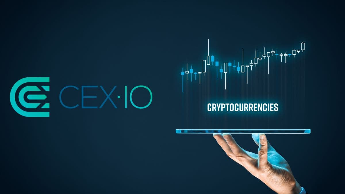 CEX review & 30 testimonials for coinlog.fun (upd. )