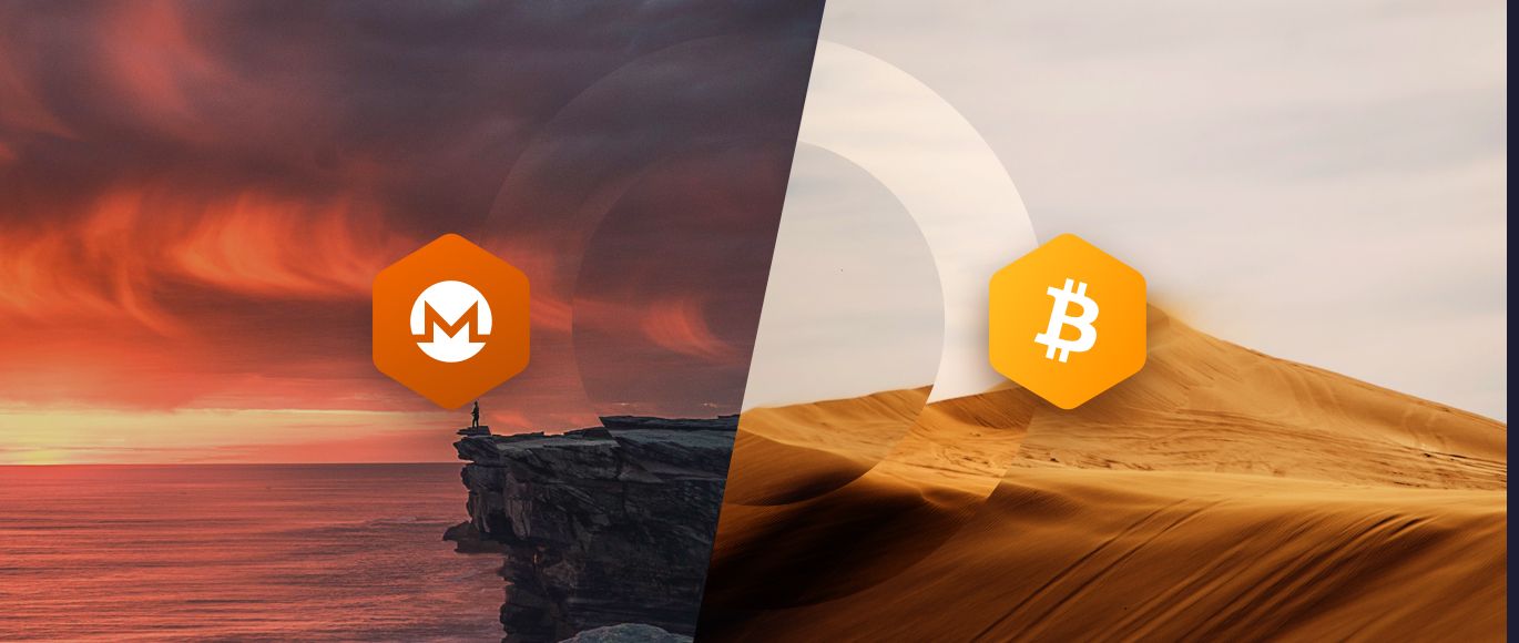 The Best Bitcoin Mixers in — Level Up Your BTC Privacy - CoinCheckup