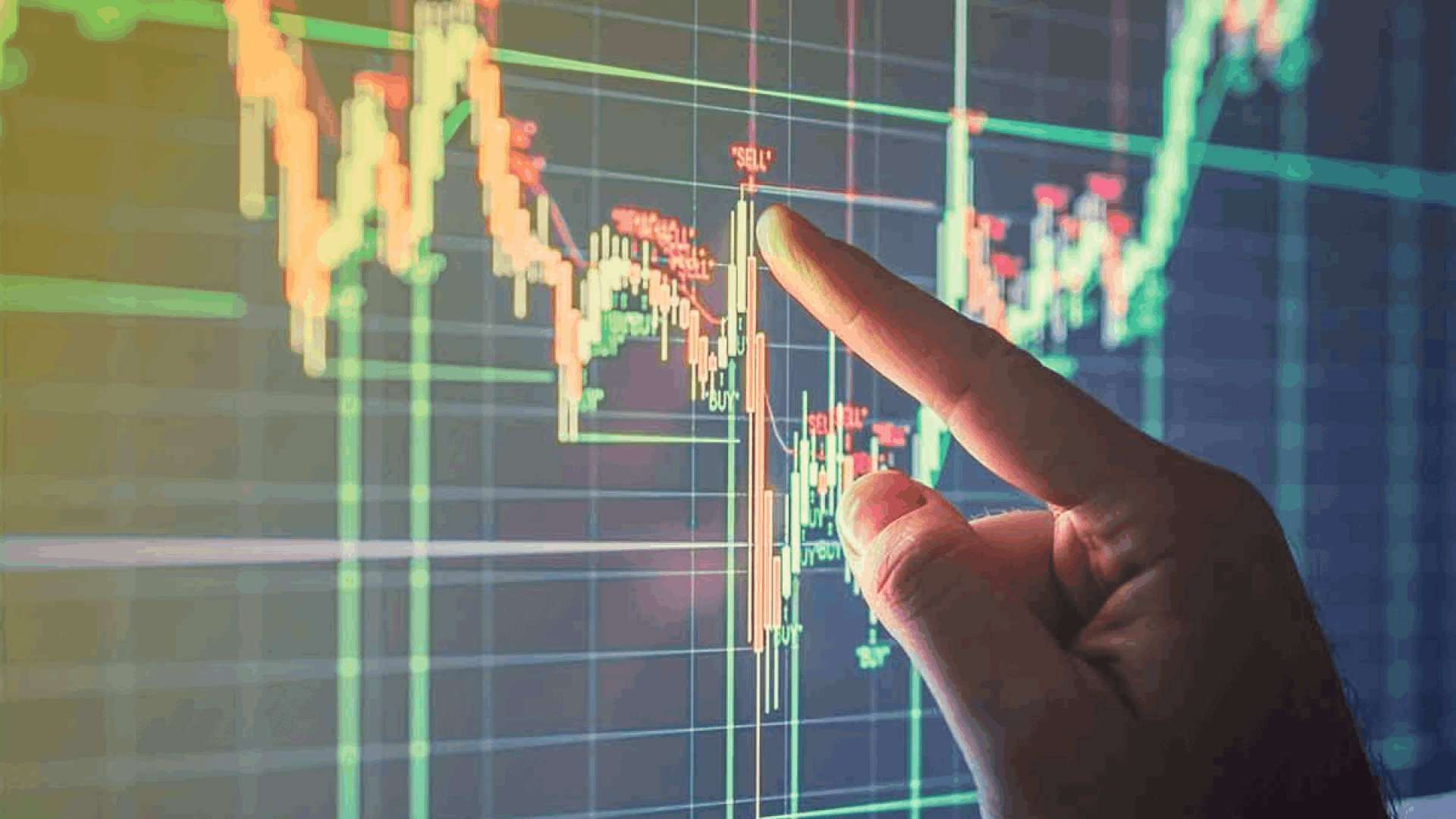 Crypto Trading Indicators for Beginners That Professionals Recommend Using