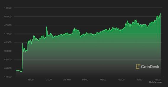 Bitcoin Price | BTC USD | Chart | Bitcoin US-Dollar | Markets Insider