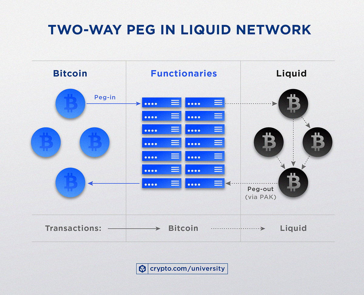 Bitcoin Layer Building the Future of Bitcoin