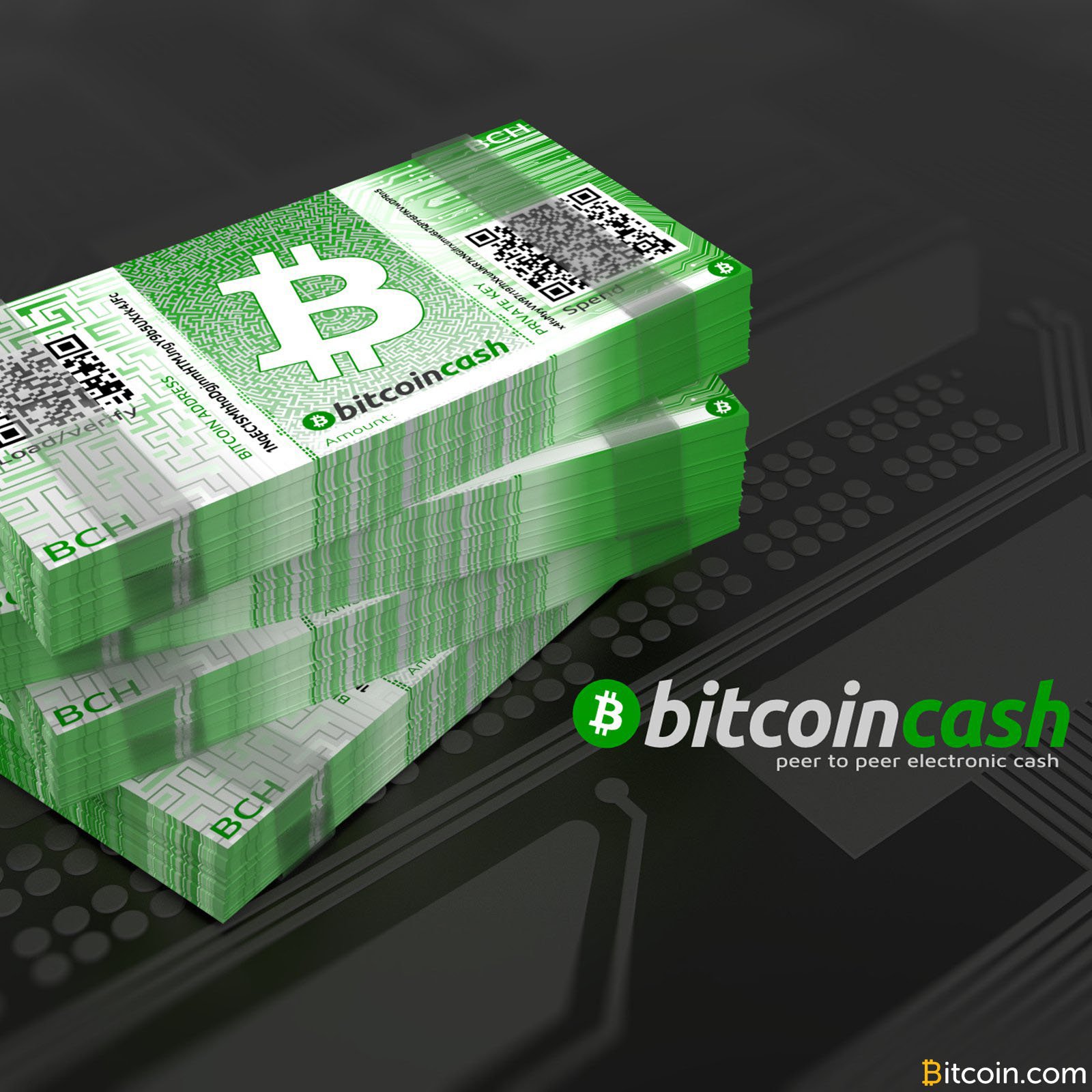 How Does Bitcoin Cash Work? BCH and Electronic Cash | Gemini