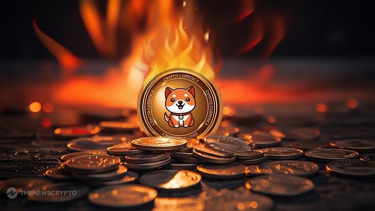 Baby Doge Coin (BabyDoge) Burns Massive 1 Quadrillion Tokens, Here's Price Reaction