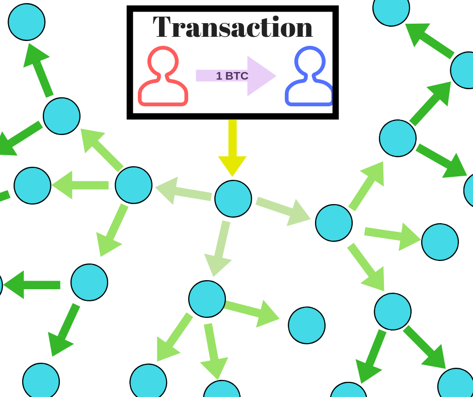 What are the Types of Nodes in Blockchain? - Utimaco