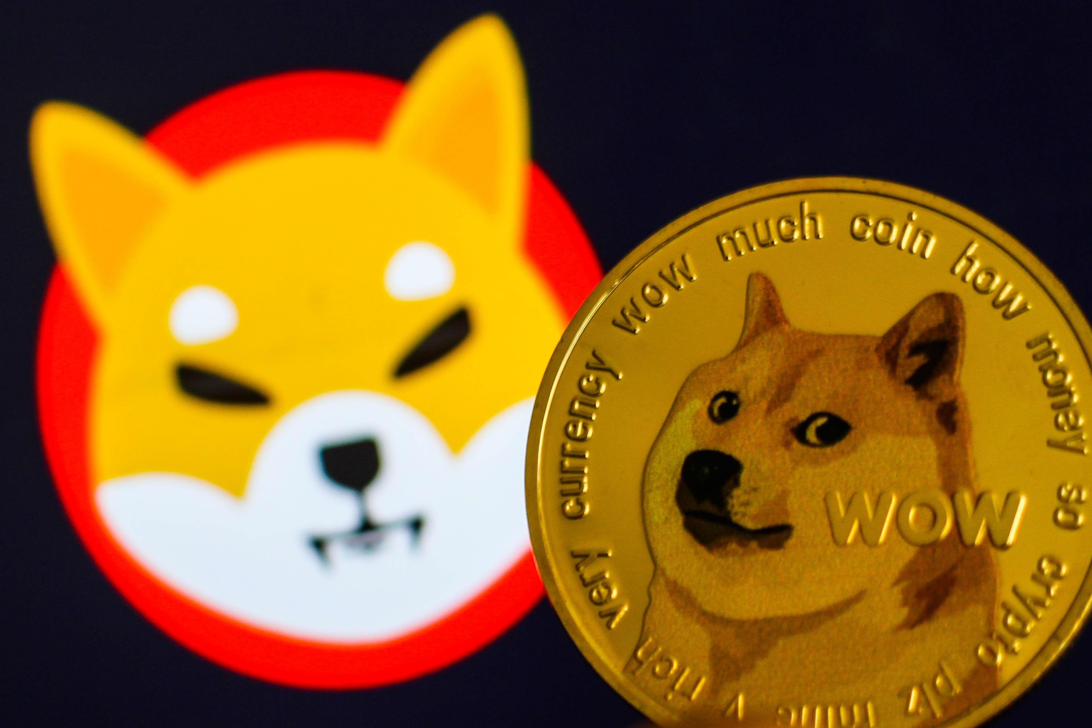 Reddit Crypto To Buy in — Mehracki Token (MKI), Shiba Inu (SHIB), and Ripple (XRP)