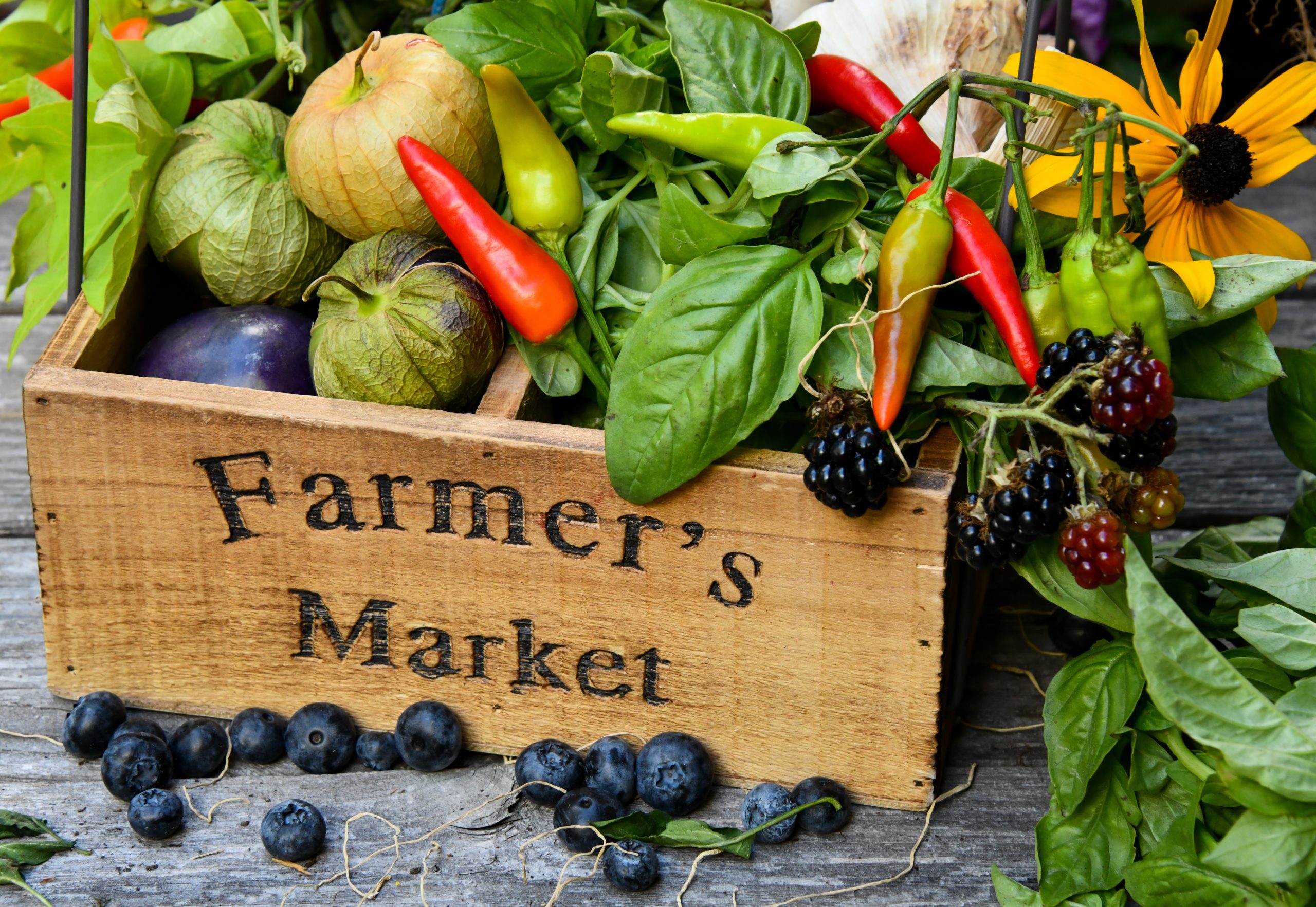 Not So Fast & Vancouver Farmers Markets are Sending Families to Market - Vancouver Is Awesome