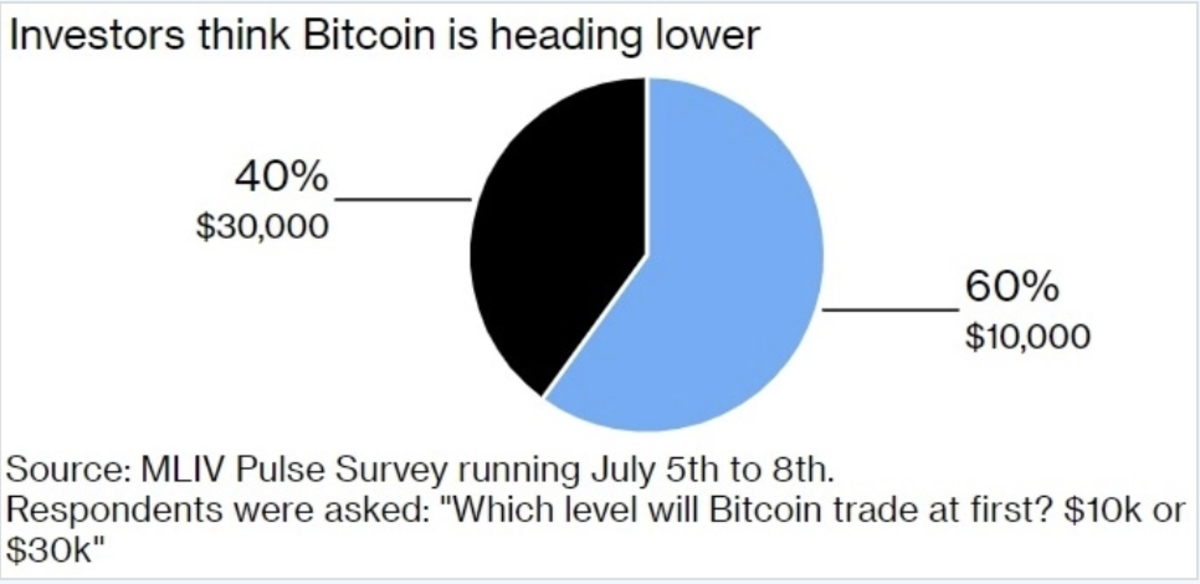 Options Traders Are Setting Their Sights on Bitcoin at $50, by January - BNN Bloomberg