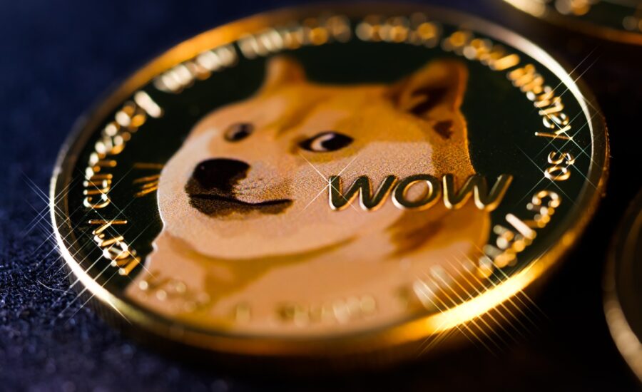 Dogecoin transactions lowest since ; is popularity of meme coin waning?