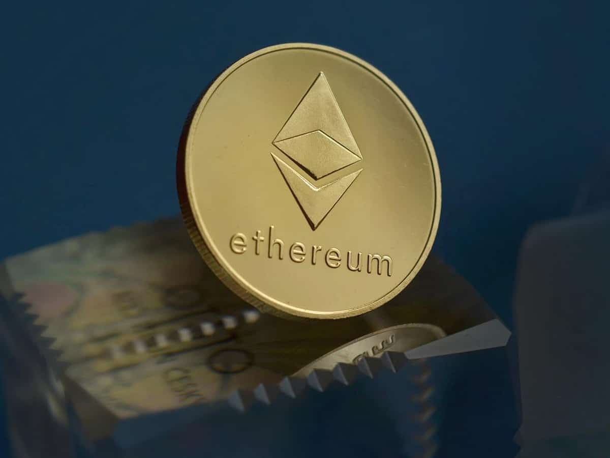 Ethereum presale wallet password Recovery Services Help