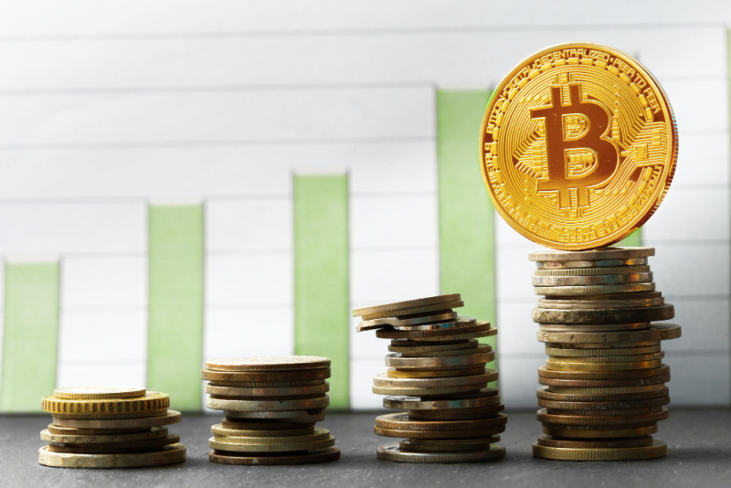 Beginner's Guide: How Much Bitcoin Should I Buy As Beginner?