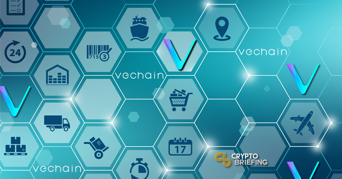 What Does Thor Crypto Mean? Which Members are in the Team of Vechain Thor? - coinlog.fun