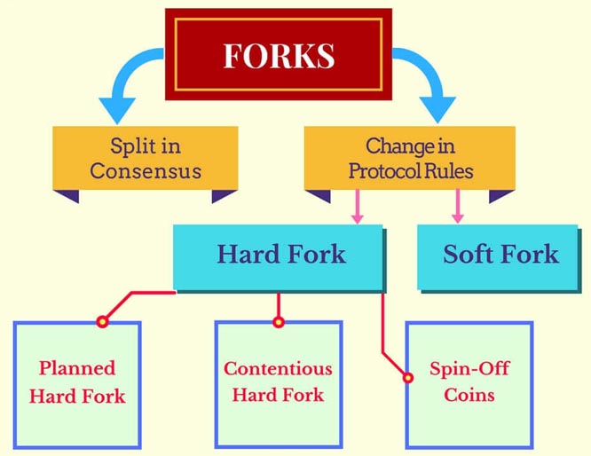 What is a hard fork in crypto? | Hard fork vs soft fork | Fidelity