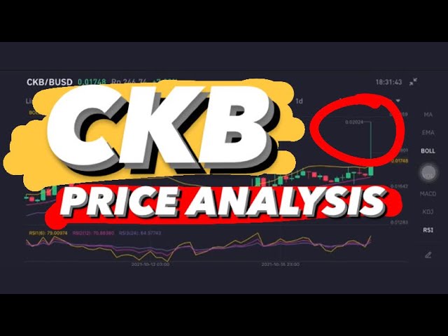 Nervos Network (CKB) Price Prediction , – | CoinCodex