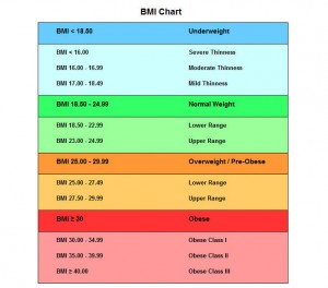 BMI Calculator – Accel Medical