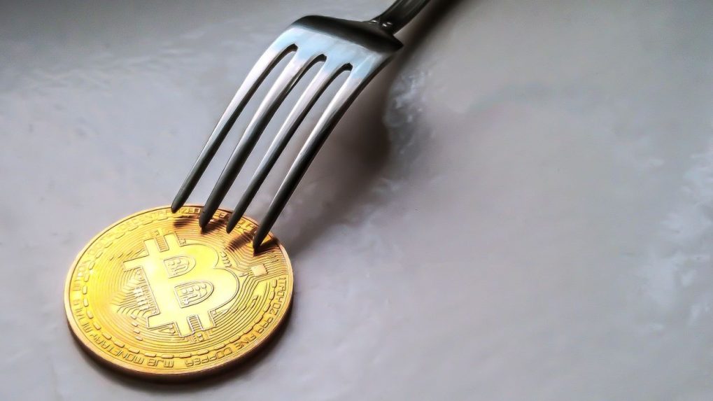 Recent and Upcoming Bitcoin Hard Forks | CoinCentral