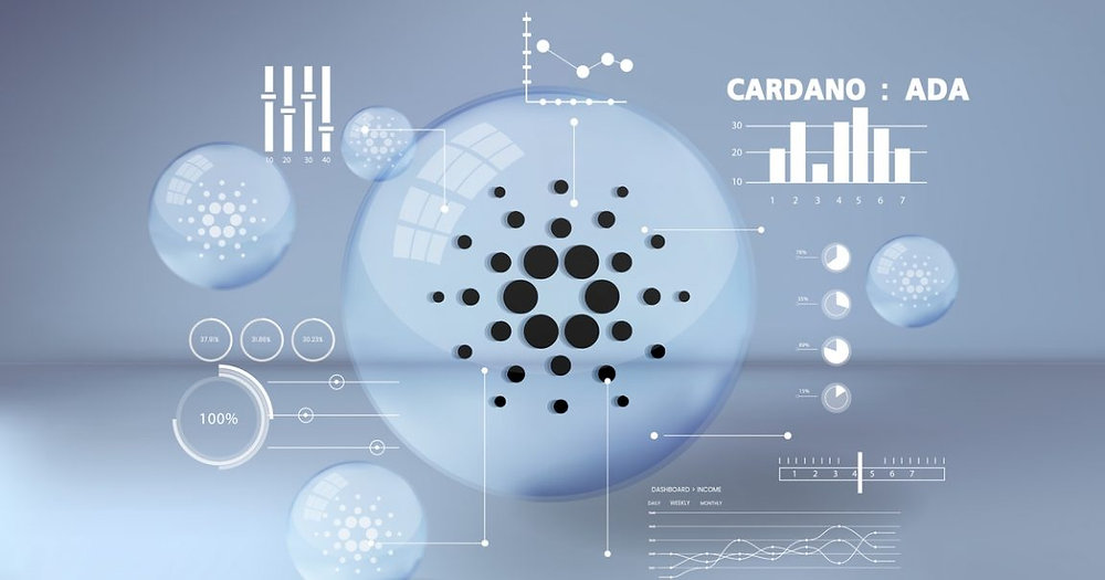 Stake Pool Explorer | Cardano Stake Pool | Cardano Staking