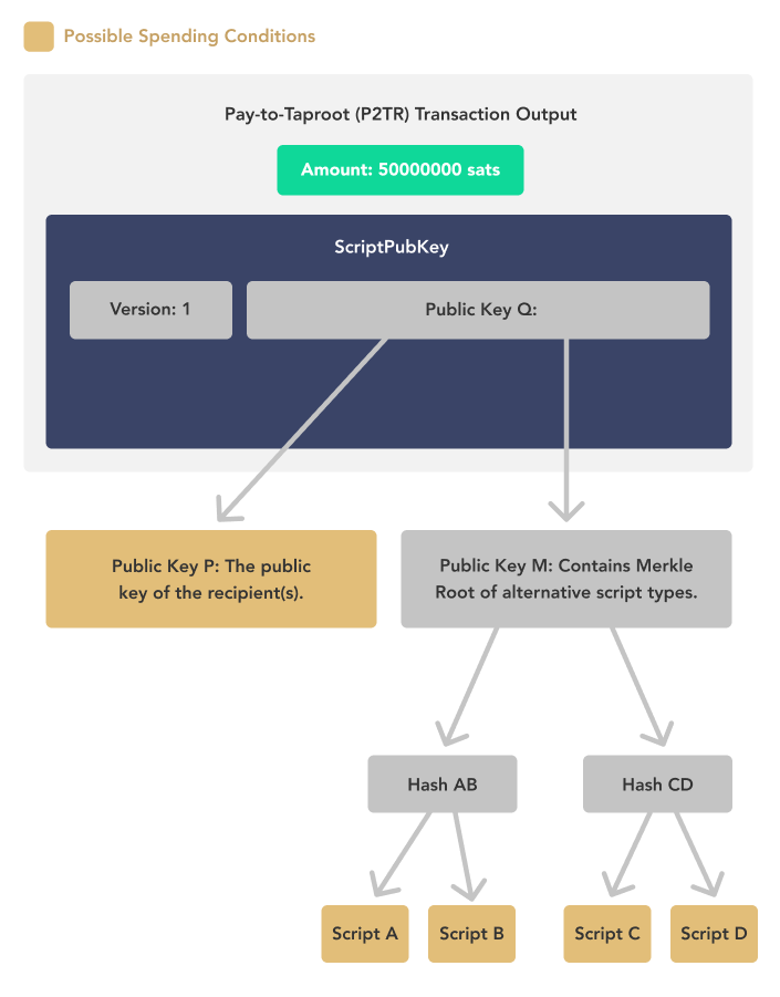 Bitcoin Taproot - A Technical Explanation - CoinCodeCap