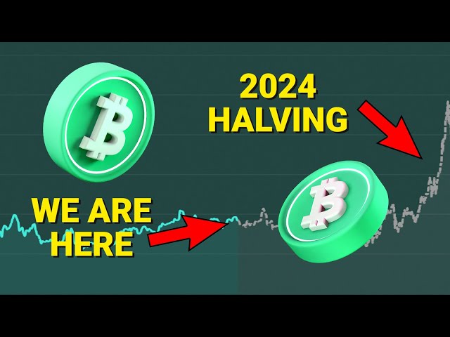 Bitcoin Cash(BCH) Halving Countdown at April 5, UTC | CoinCarp