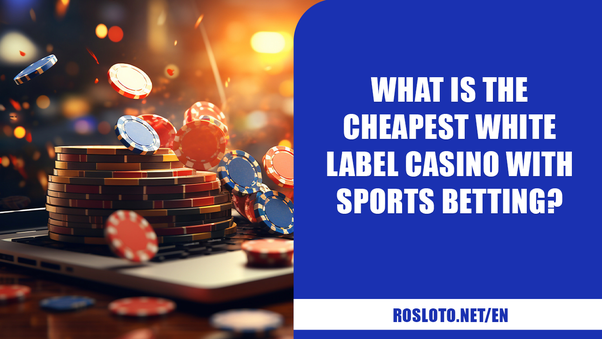 How to start white label casino in - Upgaming Blog