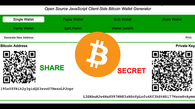 Top Richest Bitcoin Addresses and Bitcoin distribution