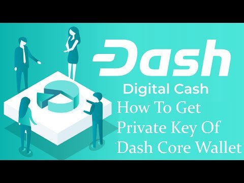 Best Dash Wallet - Everything About Selecting Dash Coin Wallet