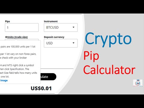 Pip Value Calculator | Baxia Markets