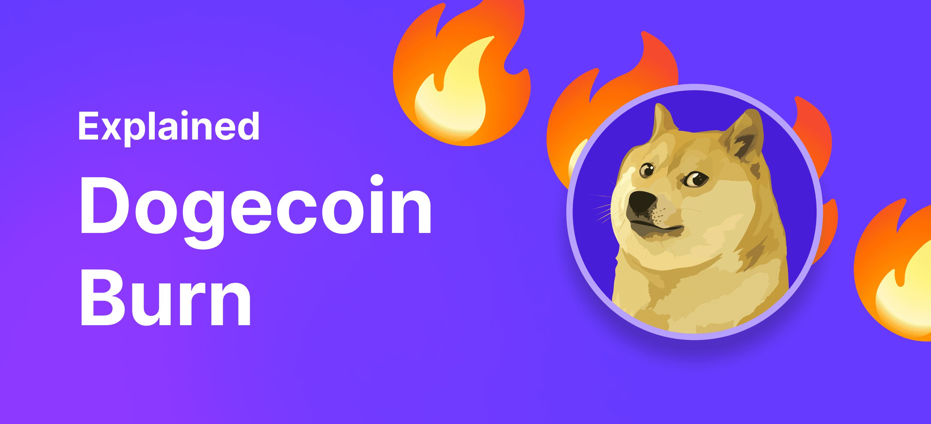 Dogecoin Scammers Netted Millions by Exploiting Elon Musk 'SNL': Report