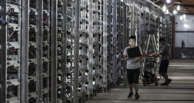 Top 5 the Best Bitcoin Mining Hardware For - CryptoMinerBros