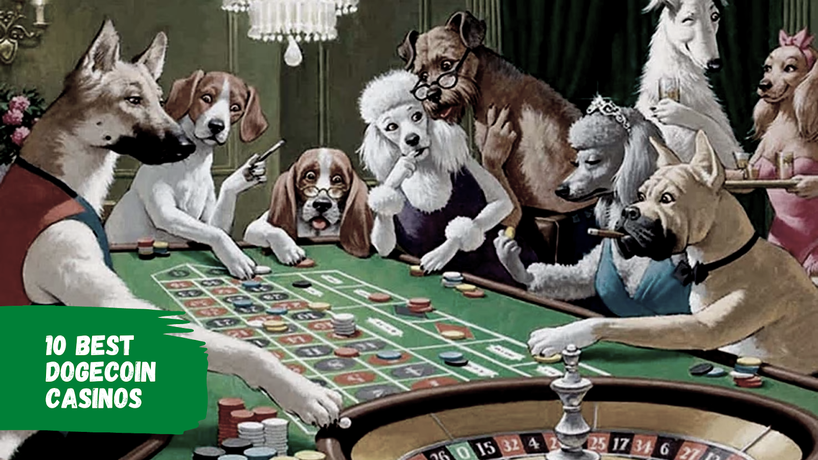 Best Dogecoin Sports Betting Sites | DOGE Sportsbook