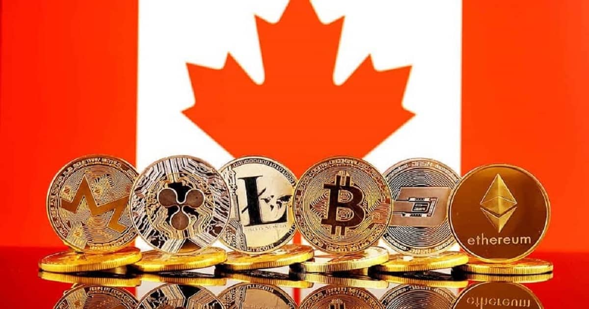 Bitcoin, ether ownership fell in , Bank of Canada finds. Here’s why. - Blockworks