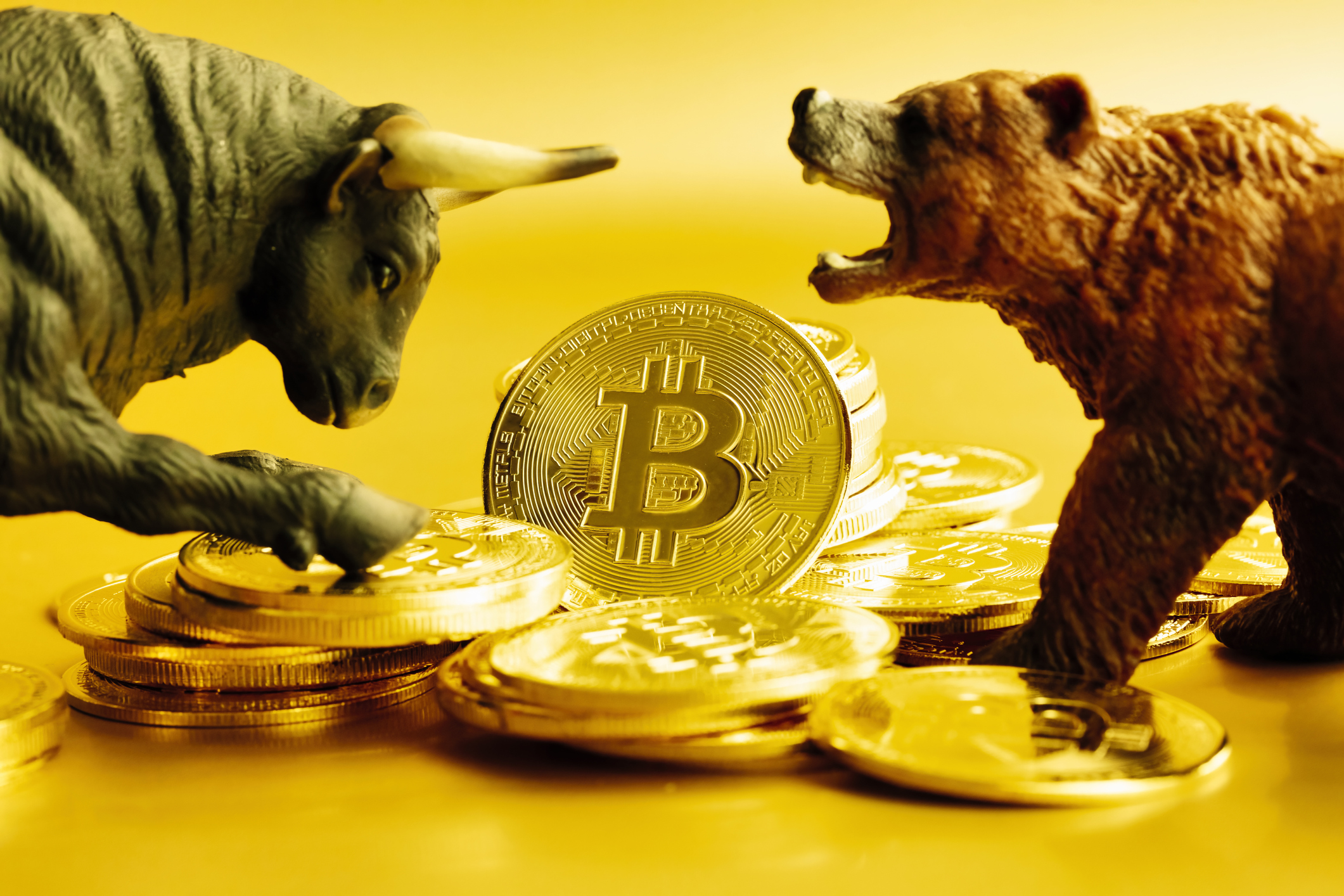 Crypto: Navigating Bear and Bull Markets