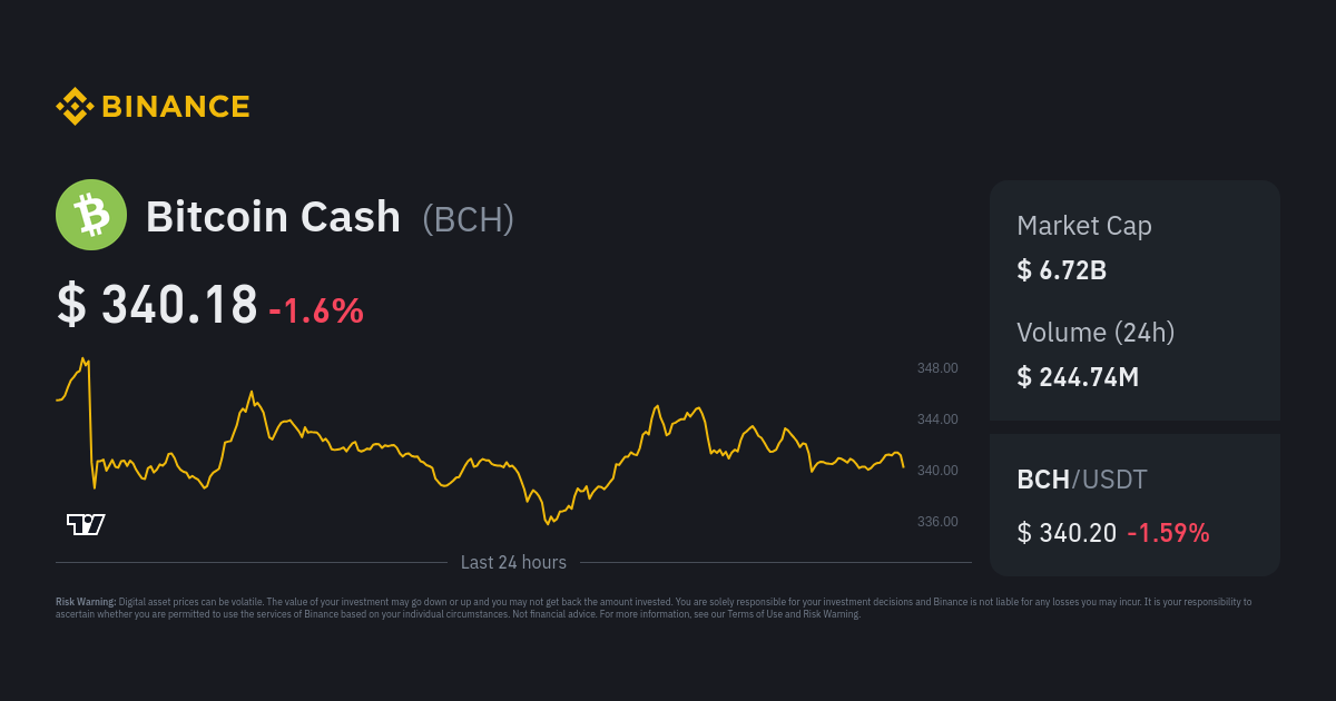 Bitcoin Cash / TetherUS Trade Ideas — BINANCE:BCHUSDT — TradingView