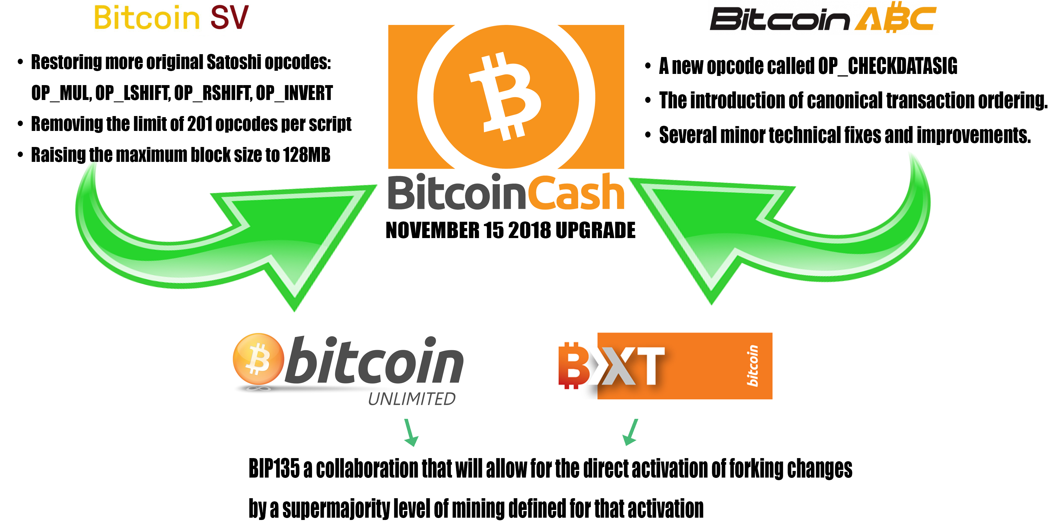 Bitcoin SV Price Today - Live BSV to USD Chart & Rate | FXEmpire