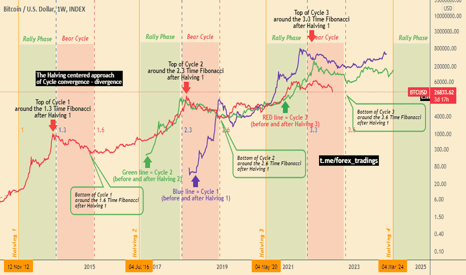 The Bitcoin Halving Unveiled: Key Highlights and Insights