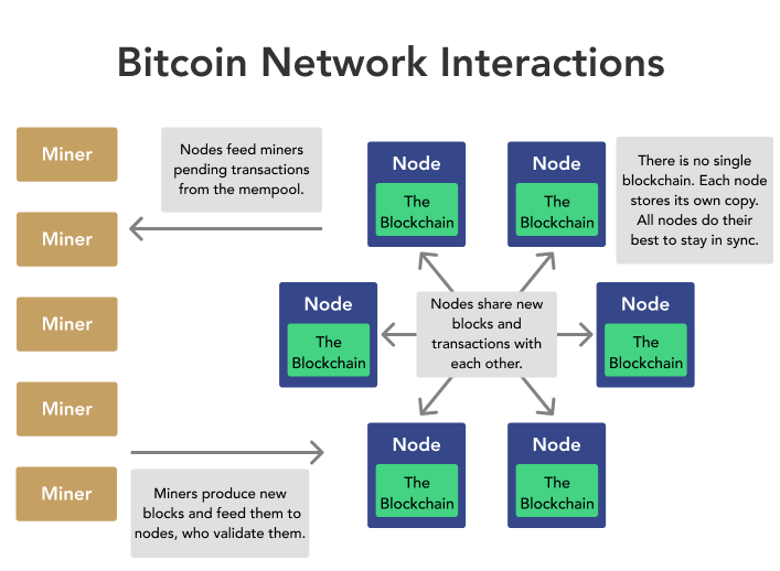 The Bitcoin Network: Full Nodes | Saylor Academy