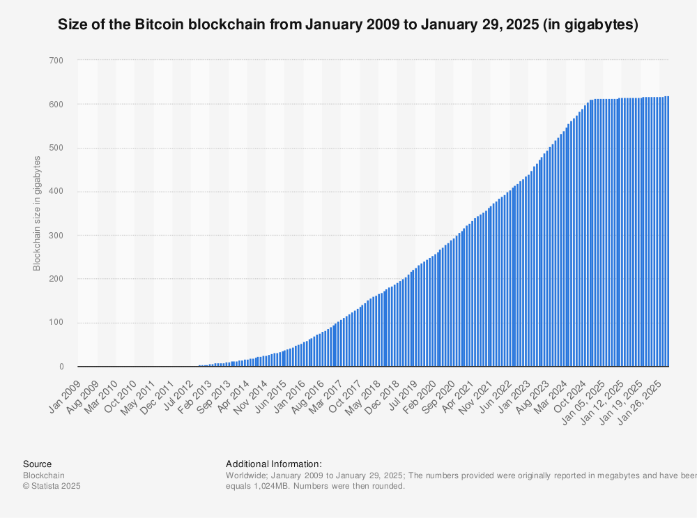 Bitcoin SV blockchain too big to be sustainable