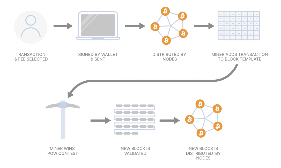 The Bitcoin Network: Full Nodes | Saylor Academy