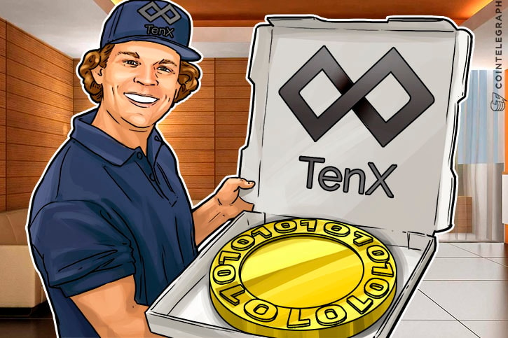 What Is TenX (PAY): All You Need To Know