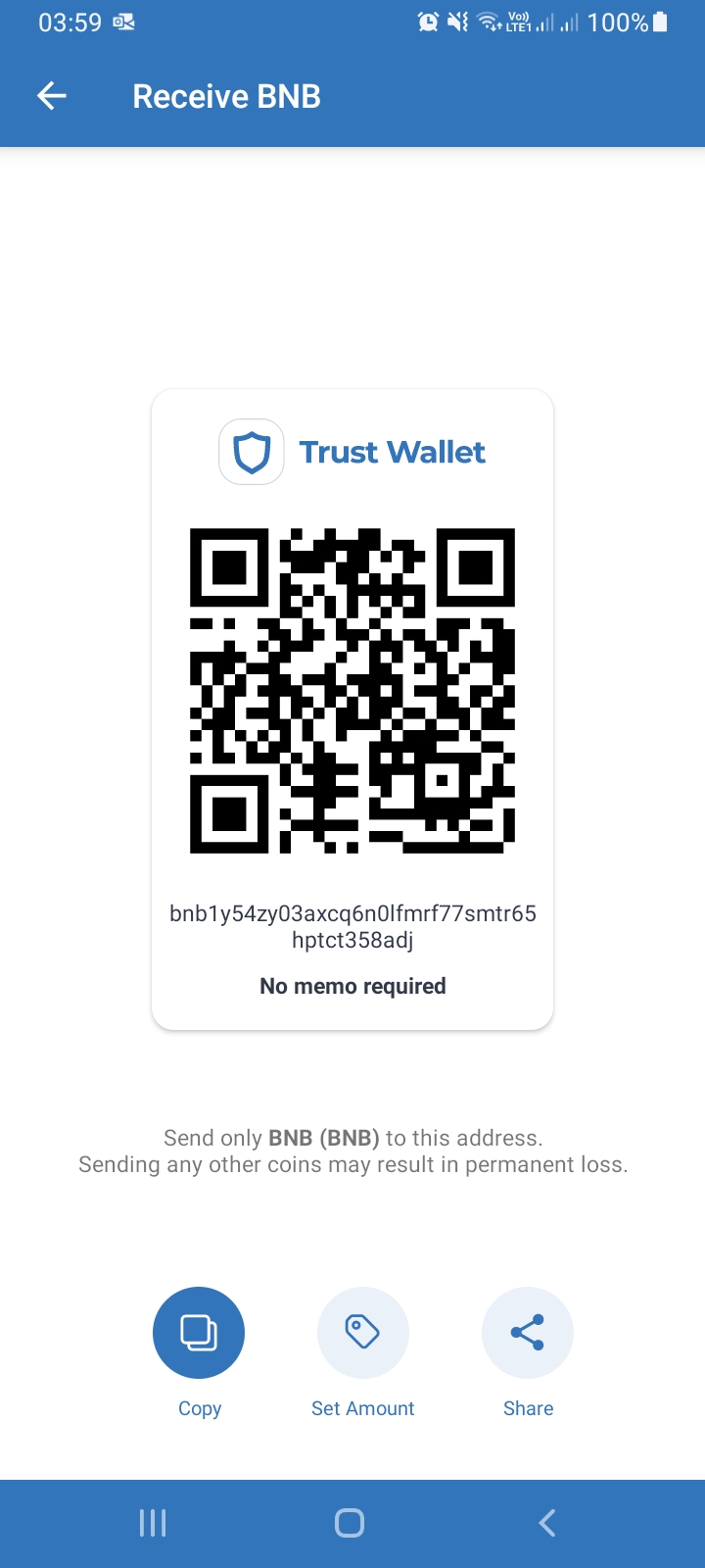 How to See BSC Address in Trust Wallet?