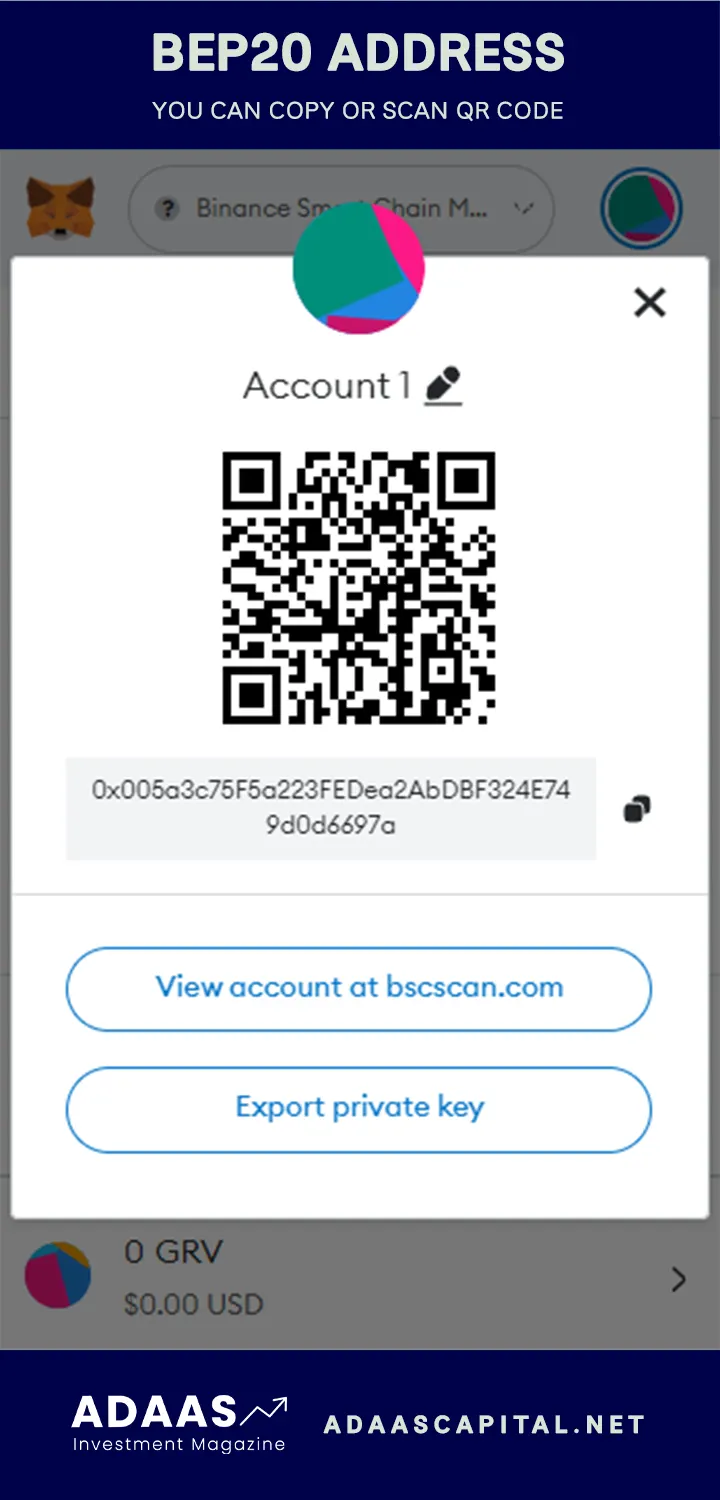 Connect Binance Smart Chain (BSC) to MetaMask: You NEED to Know How