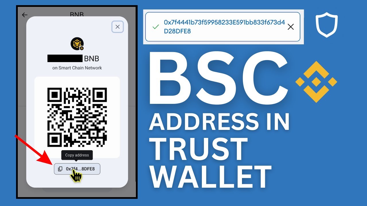 Top BSC Station Rich Address List | CoinCarp