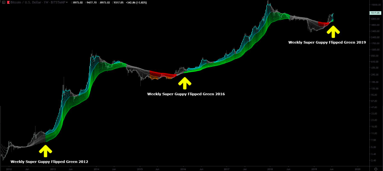 Bitcoin's 'Guppy' Indicator Flashes Green for Bulls