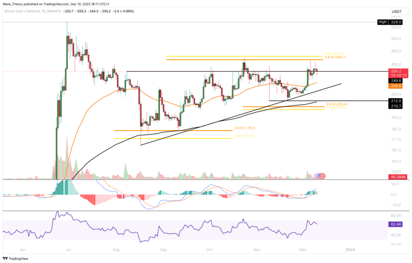 Bitcoin Cash Price (BCH), Market Cap, Price Today & Chart History - Blockworks