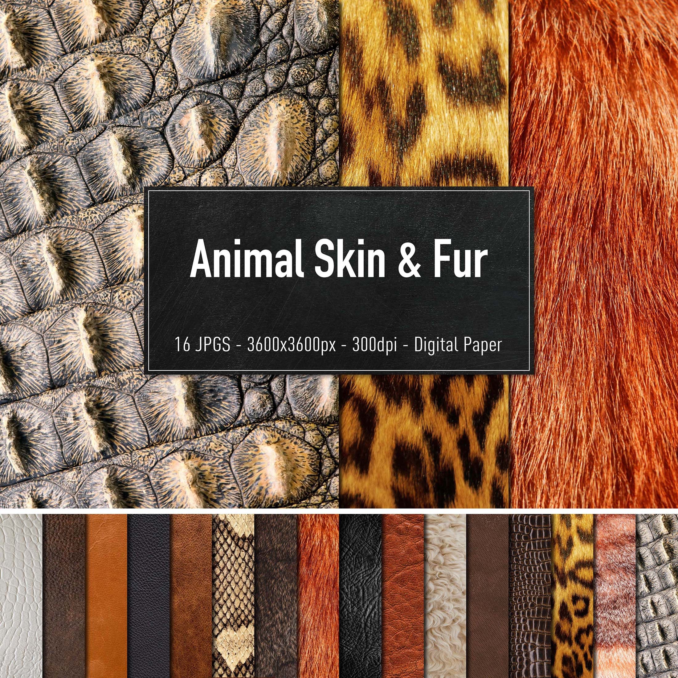 FAQ: Can I sell an old fur made from an endangered animal? | Animal Legal & Historical Center