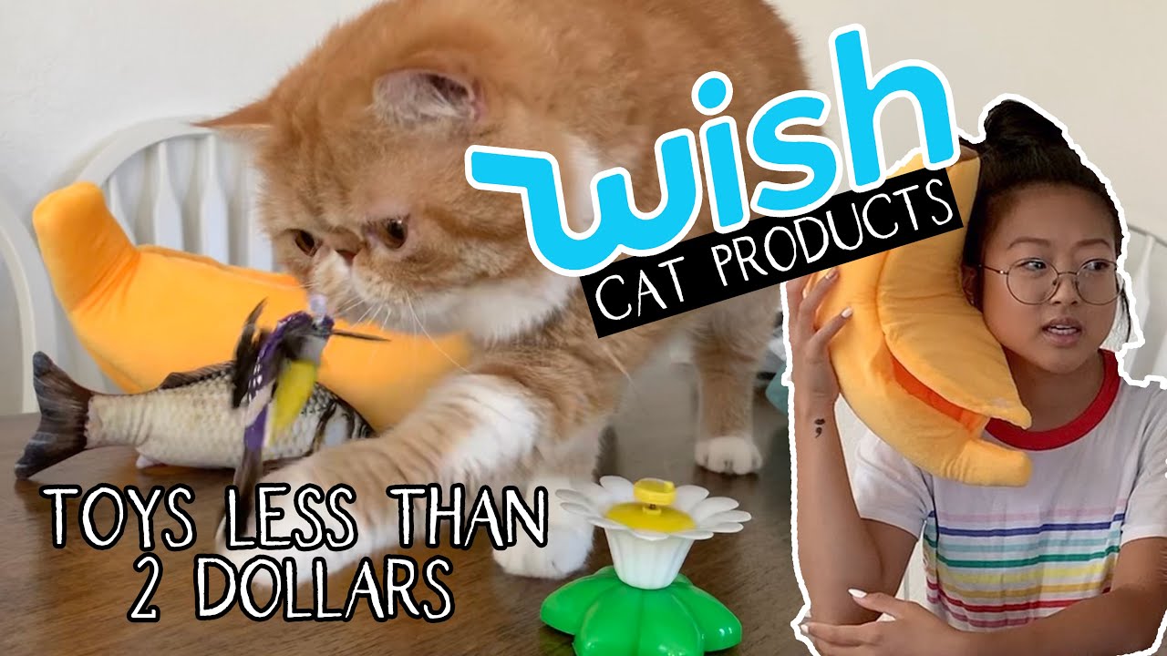 25 Affordable Products You Didn’t Know You Needed For Your Cat