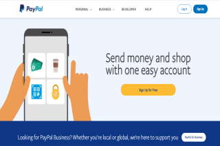 Secure Online Payments & International Money Transfers | Payz
