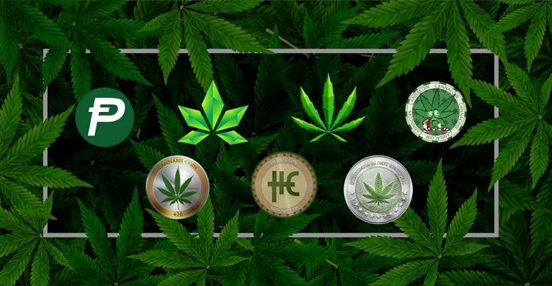 1, Cannabis Coin Royalty-Free Photos and Stock Images | Shutterstock