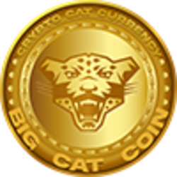 CATSTAR (CAT) coin price & chart, market cap, 0x56A84D4c9b6ca4d2C68eEb88Cdbaf9 on BSC